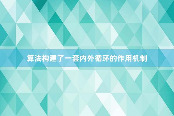 算法构建了一套内外循环的作用机制