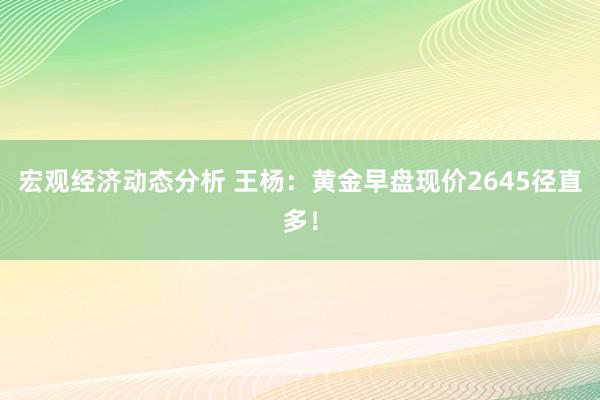 宏观经济动态分析 王杨：黄金早盘现价2645径直多！