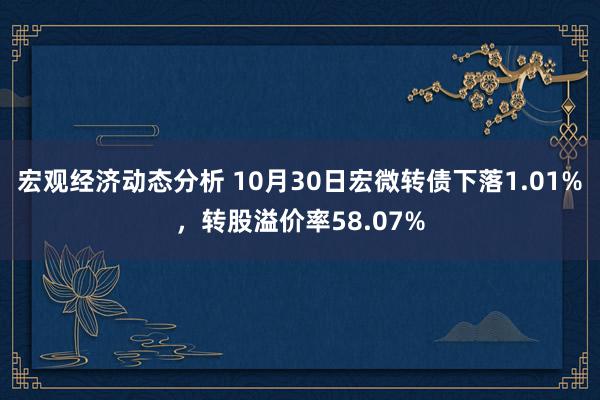 宏观经济动态分析 10月30日宏微转债下落1.01%，转股溢价率58.07%