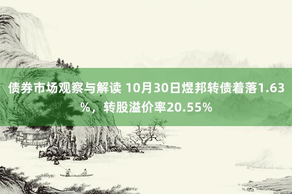 债券市场观察与解读 10月30日煜邦转债着落1.63%，转股溢价率20.55%