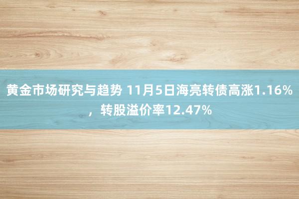 黄金市场研究与趋势 11月5日海亮转债高涨1.16%，转股溢价率12.47%