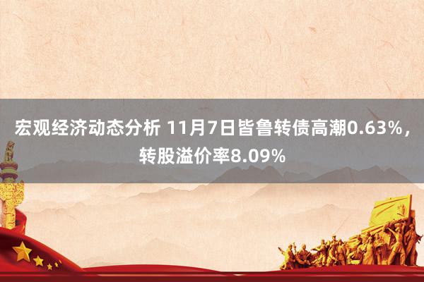 宏观经济动态分析 11月7日皆鲁转债高潮0.63%，转股溢价率8.09%