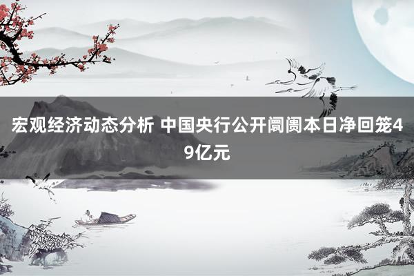 宏观经济动态分析 中国央行公开阛阓本日净回笼49亿元