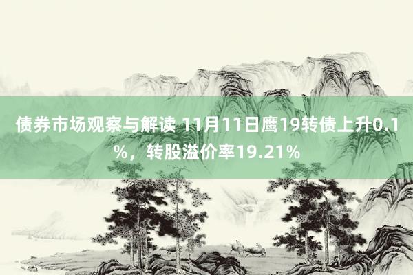 债券市场观察与解读 11月11日鹰19转债上升0.1%，转股溢价率19.21%