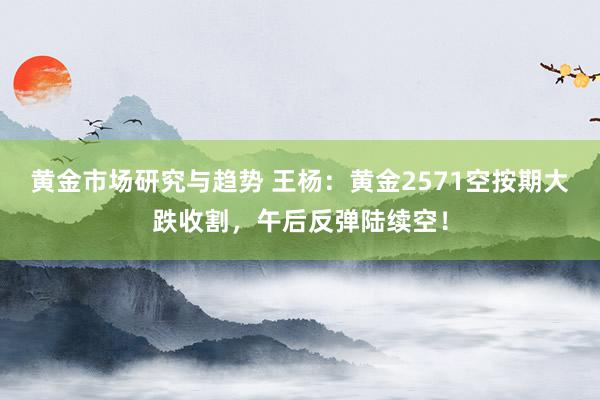 黄金市场研究与趋势 王杨：黄金2571空按期大跌收割，午后反弹陆续空！