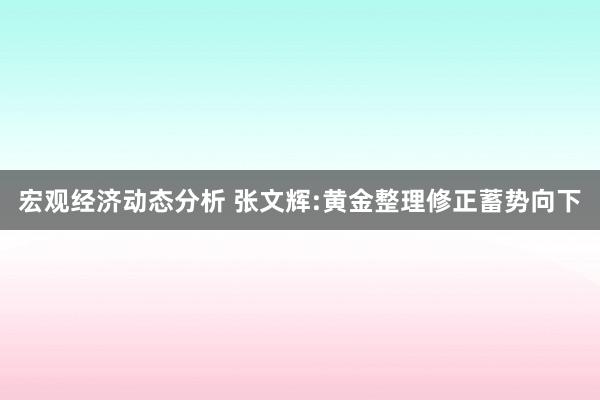 宏观经济动态分析 张文辉:黄金整理修正蓄势向下