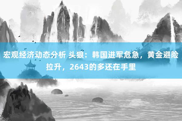 宏观经济动态分析 头狼：韩国进军危急，黄金避险拉升，2643的多还在手里