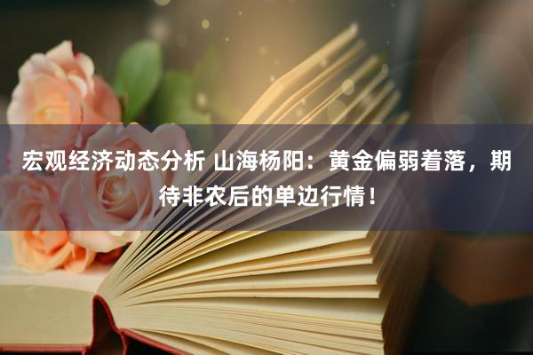 宏观经济动态分析 山海杨阳：黄金偏弱着落，期待非农后的单边行情！