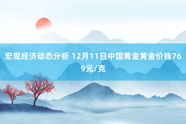 宏观经济动态分析 12月11日中国黄金黄金价钱769元/克