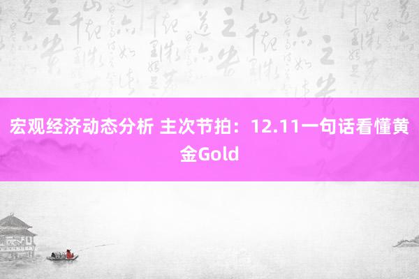 宏观经济动态分析 主次节拍：12.11一句话看懂黄金Gold