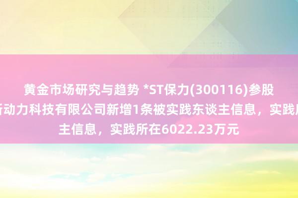 黄金市场研究与趋势 *ST保力(300116)参股的十堰坚瑞利同新动力科技有限公司新增1条被实践东谈主信息，实践所在6022.23万元