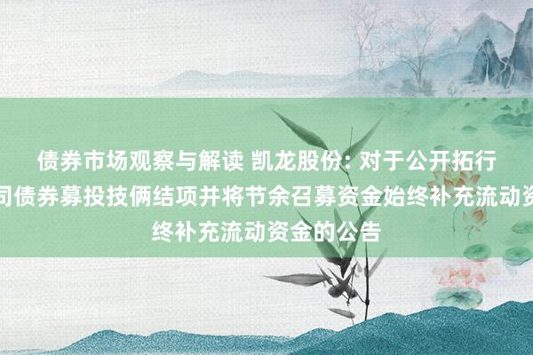 债券市场观察与解读 凯龙股份: 对于公开拓行可转机公司债券募投技俩结项并将节余召募资金始终补充流动资金的公告