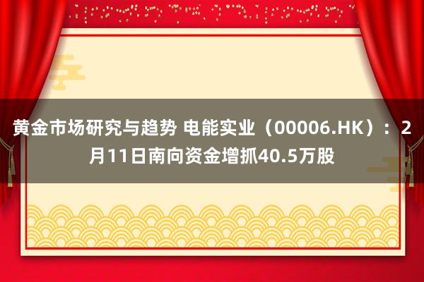 黄金市场研究与趋势 电能实业（00006.HK）：2月11日南向资金增抓40.5万股