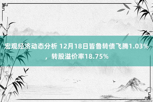 宏观经济动态分析 12月18日皆鲁转债飞腾1.03%，转股溢价率18.75%