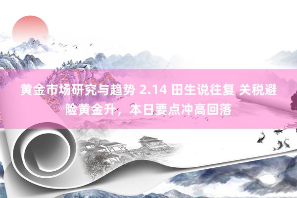 黄金市场研究与趋势 2.14 田生说往复 关税避险黄金升，本日要点冲高回落