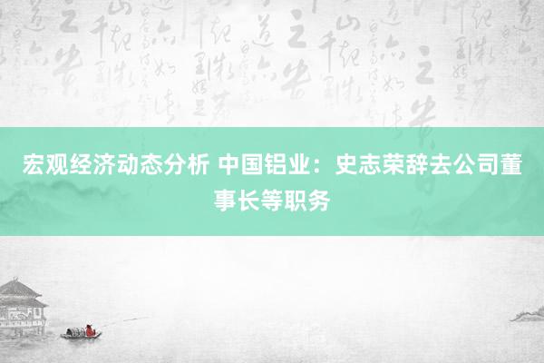 宏观经济动态分析 中国铝业：史志荣辞去公司董事长等职务