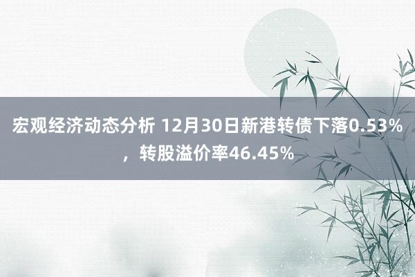 宏观经济动态分析 12月30日新港转债下落0.53%，转股溢价率46.45%