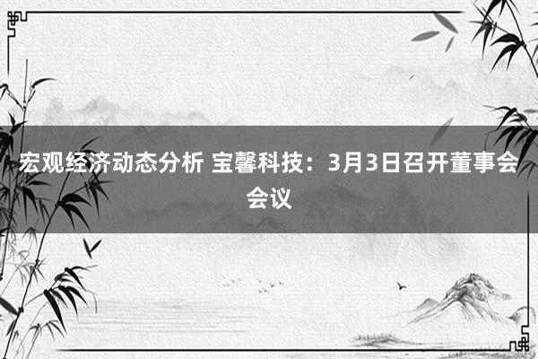 宏观经济动态分析 宝馨科技：3月3日召开董事会会议