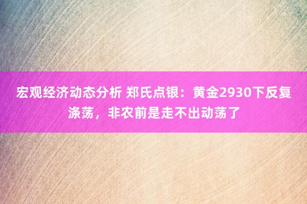 宏观经济动态分析 郑氏点银：黄金2930下反复涤荡，非农前是走不出动荡了