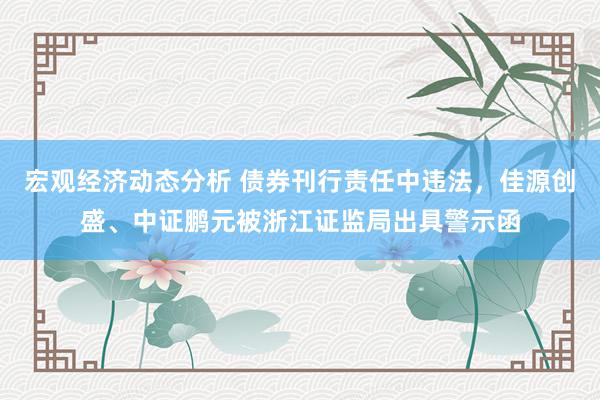 宏观经济动态分析 债券刊行责任中违法，佳源创盛、中证鹏元被浙江证监局出具警示函