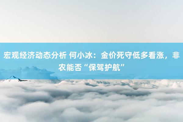 宏观经济动态分析 何小冰：金价死守低多看涨，非农能否“保驾护航”