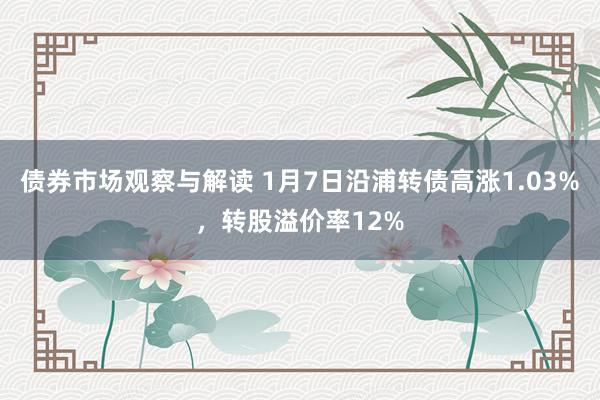 债券市场观察与解读 1月7日沿浦转债高涨1.03%，转股溢价率12%