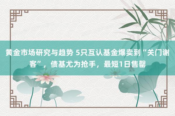 黄金市场研究与趋势 5只互认基金爆卖到“关门谢客”，债基尤为抢手，最短1日售罄