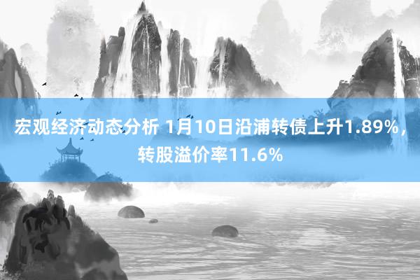 宏观经济动态分析 1月10日沿浦转债上升1.89%，转股溢价率11.6%